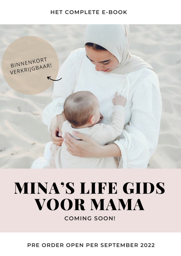 Voedingsplan